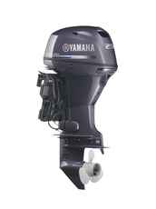 Лодочный мотор Yamaha F 25 DES